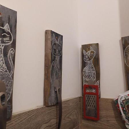 Studio Paderewskiego Jelenia Góra Zewnętrze zdjęcie