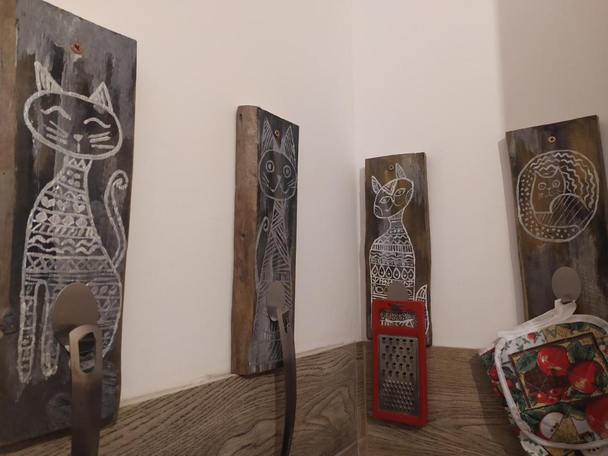 Studio Paderewskiego Jelenia Góra Zewnętrze zdjęcie